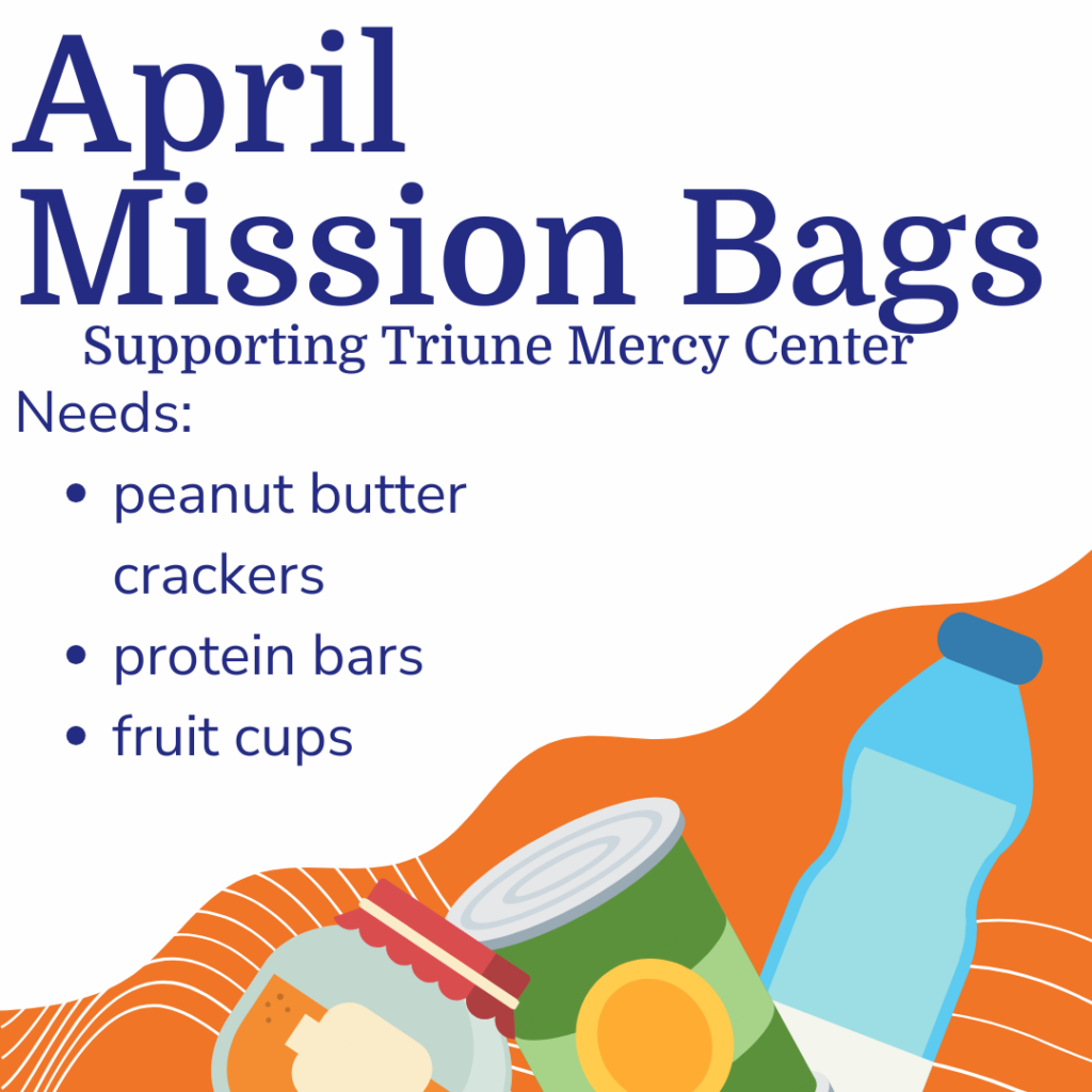 January Mission Bags